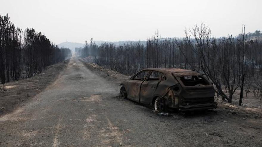 Los incendios dejan al menos 31 muertos en Portugal