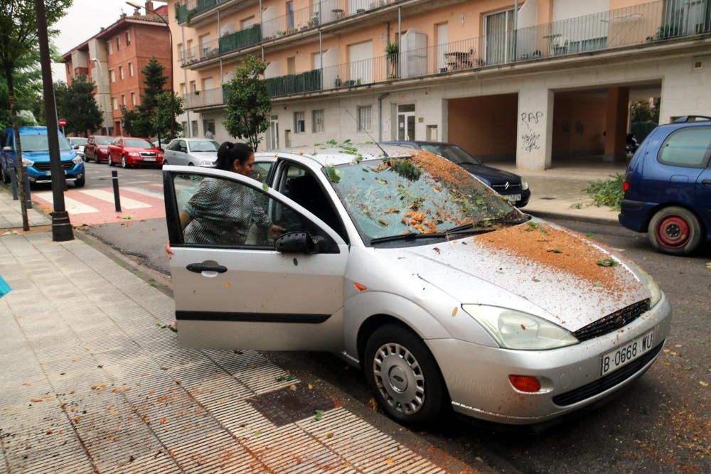 Una dona comprova els desperfectes que ha provocat una branca caiguda d'una arbre al seu cotxe