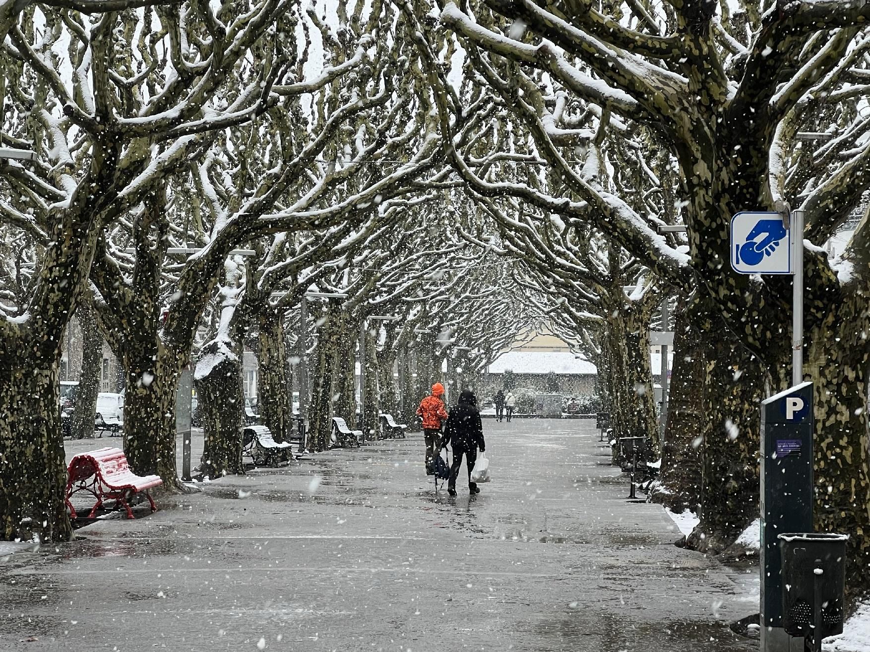 La nevada més important de la temporada emblanquina diferents punts de la Catalunya central