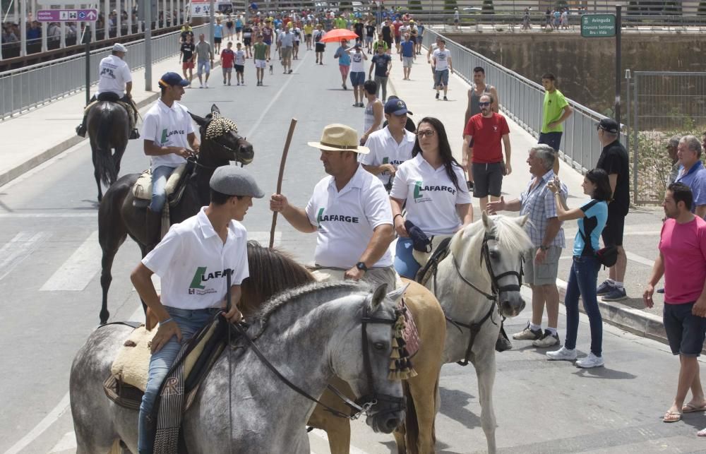 Fiestas de Sagunto. Recinto taurino.