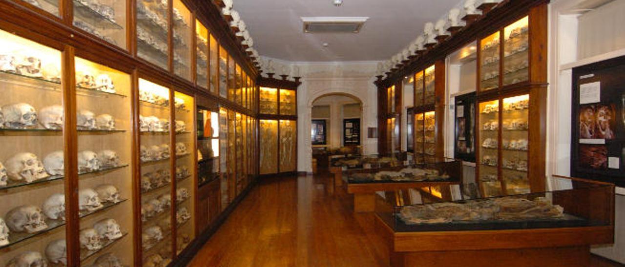 El Museo Canario se relanza