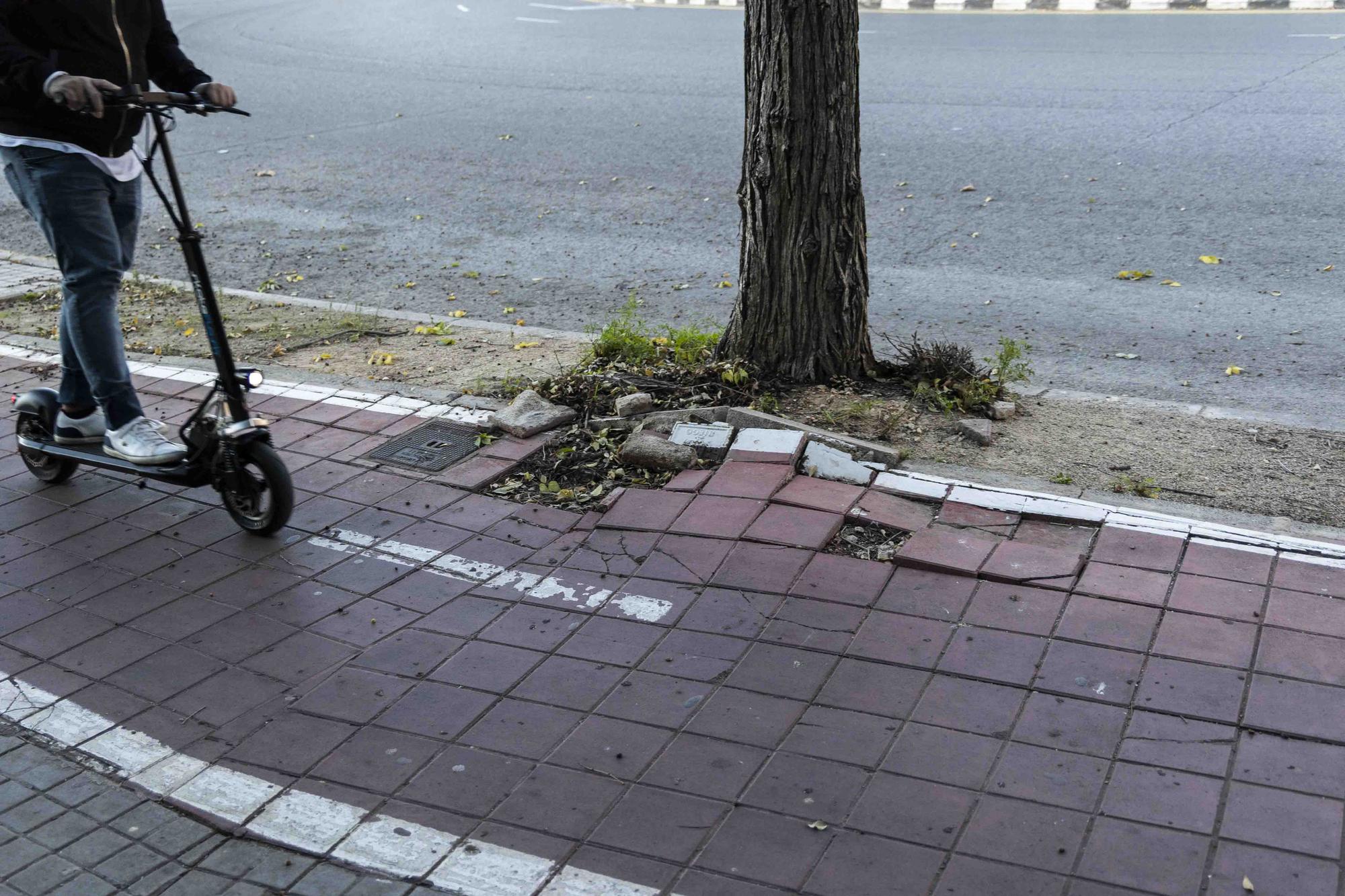 La falta de mantenimiento convierte este carril bici en una montaña rusa