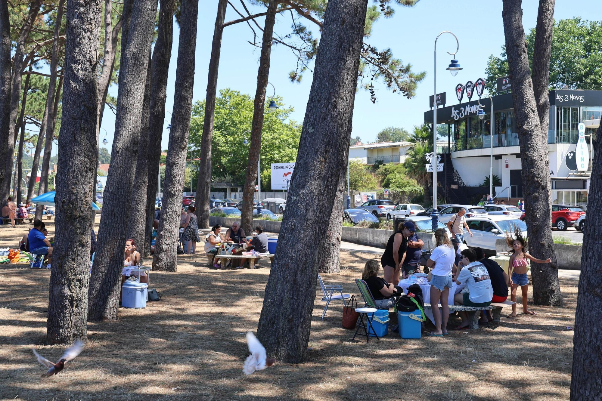 Alerta amarilla en 13 municipios de Pontevedra por temperaturas máximas