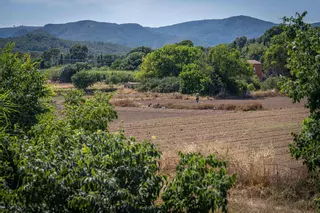 Entidades ecologistas mantienen el pulso a un gran plan urbanístico de Gavà y denuncian el riesgo de inundación