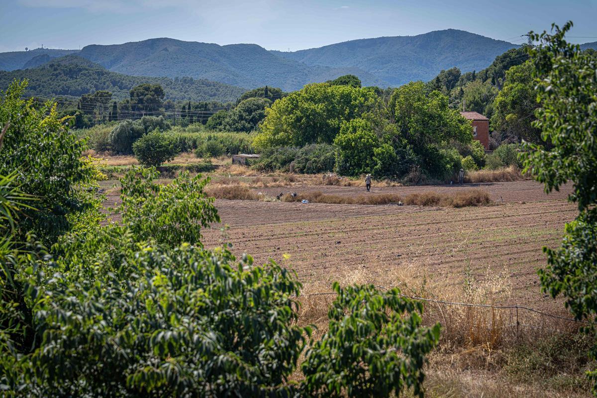 Terrenos donde se prevén los futuros barrios del Pla de Ponent de Gavà.