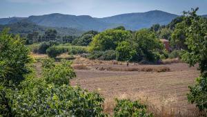 Terrenos donde se prevén los futuros barrios del Pla de Ponent de Gavà.