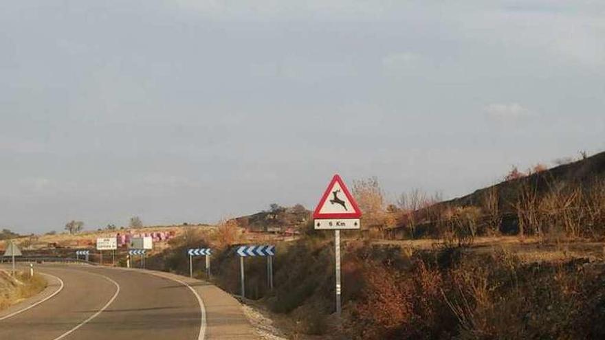 Instalación de una señal de fauna en el término de Fermoselle.