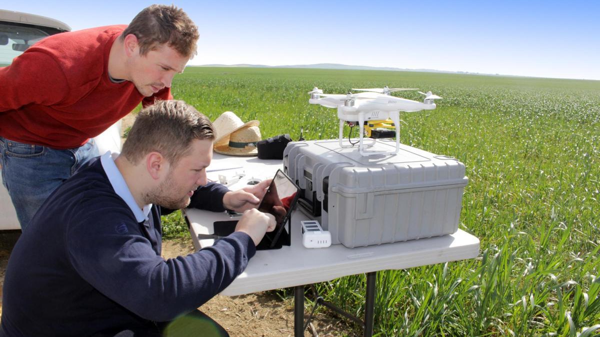 Dos técnicos revisan la información facilitada por un dron para adecuar el sistema de riego de los cultivos en base a la temperatura del terreno, como han probado en parcelas de maíz. / El Correo