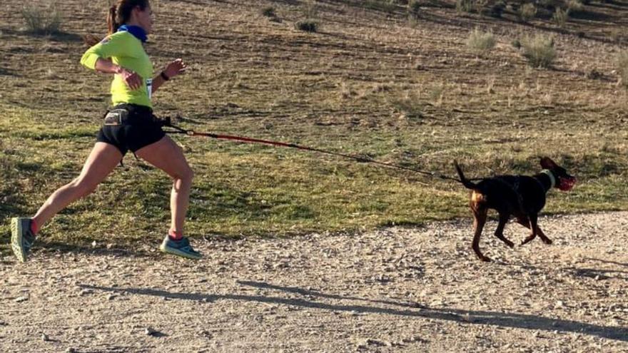 Cuando tu perro es tu entrenador personal