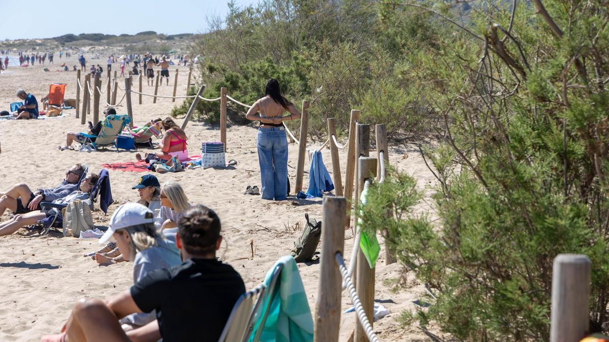 Arte para concienciar y proteger a la tortuga boba del mediterráneo en Arenales del Sol