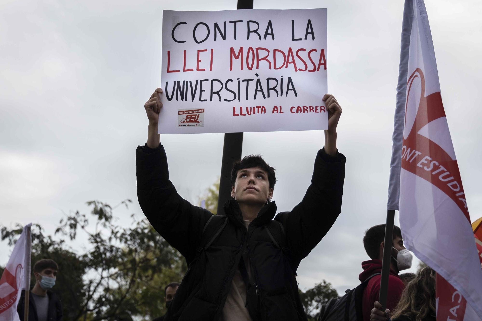 Los universitarios se manifiestan contra la "ley Castells"