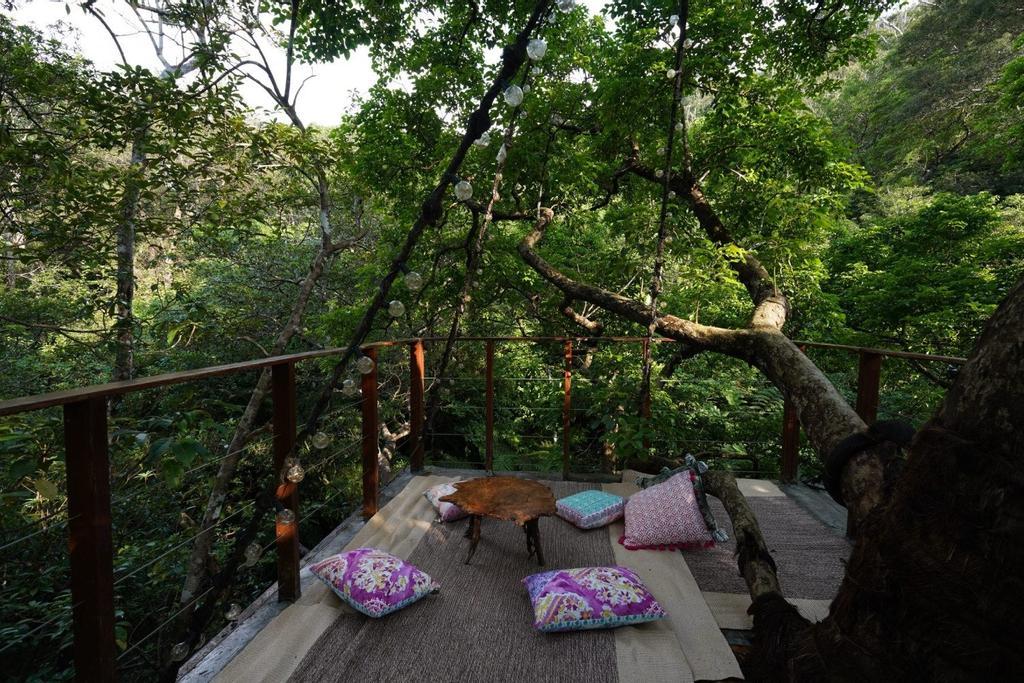 Treeful Treehouse Sustainable Resort