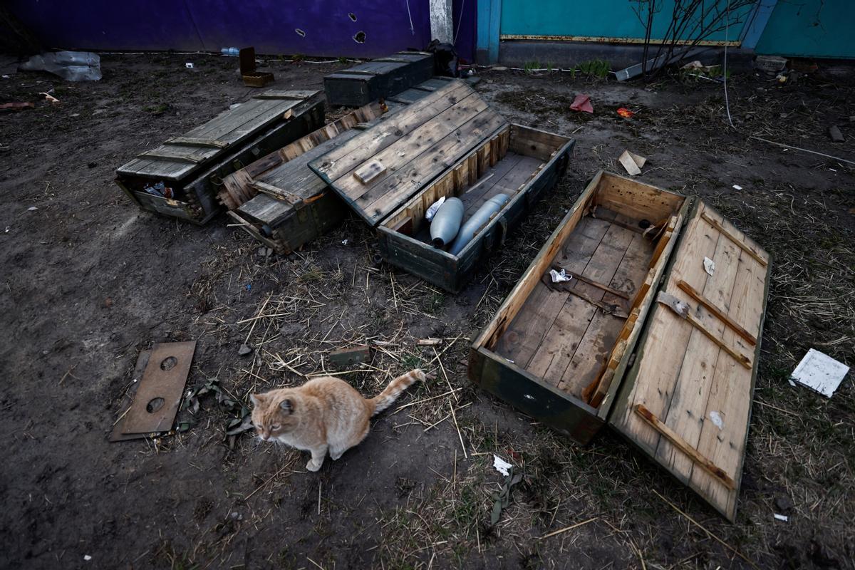 Un gato pasa junto a cajas que contienen proyectiles rusos, en medio de la invasión rusa de Ucrania en Andriivka.