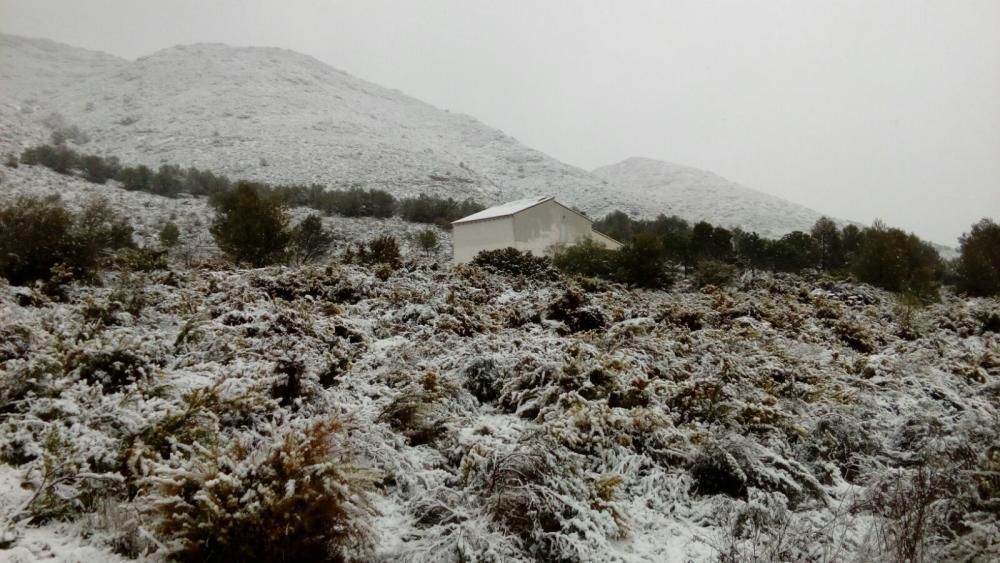 Fotos de la Llacuna, en Villalonga, completamente cubierta de nieve.