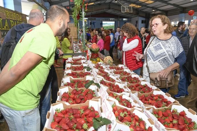 GRAN CANARIA 29-04-2018   VALSEQUILLO.  Feria de ...