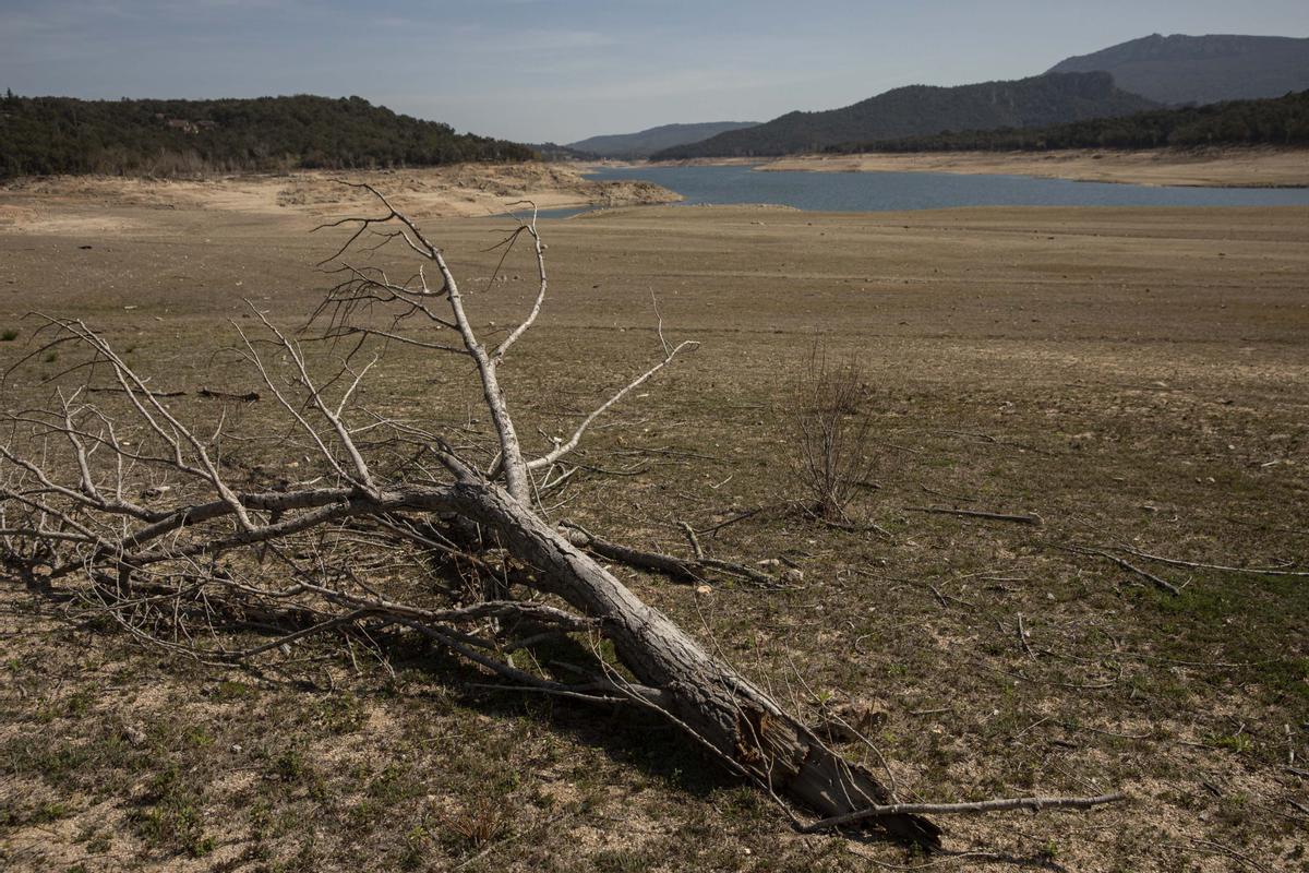 El embalse de Darnius Boadella y el río Muga bajo los efectos de la sequía