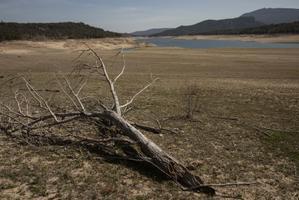 Catalunya perd una quarta part de la seva aigua potable per culpa de les fugues