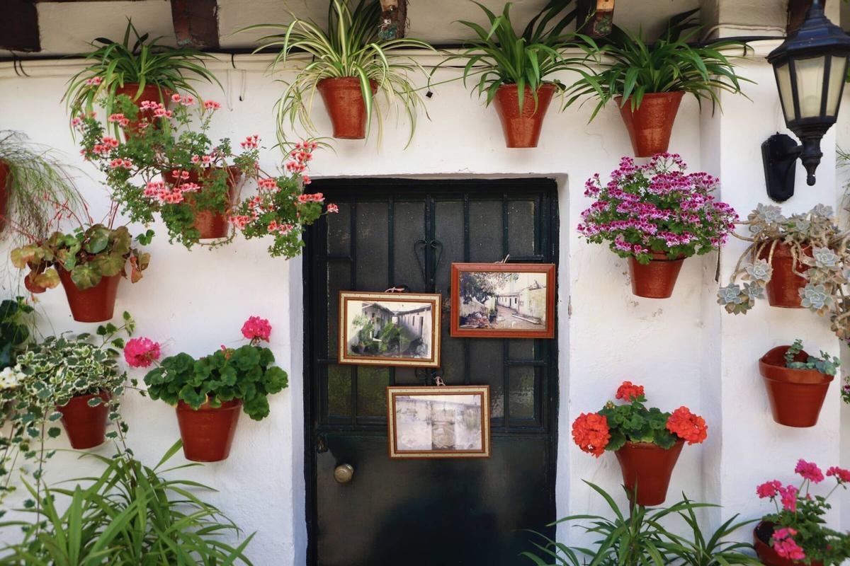 Córdoba en Mayo. Fiesta de los Patios, Ruta 2 . Patio Escañuela 3