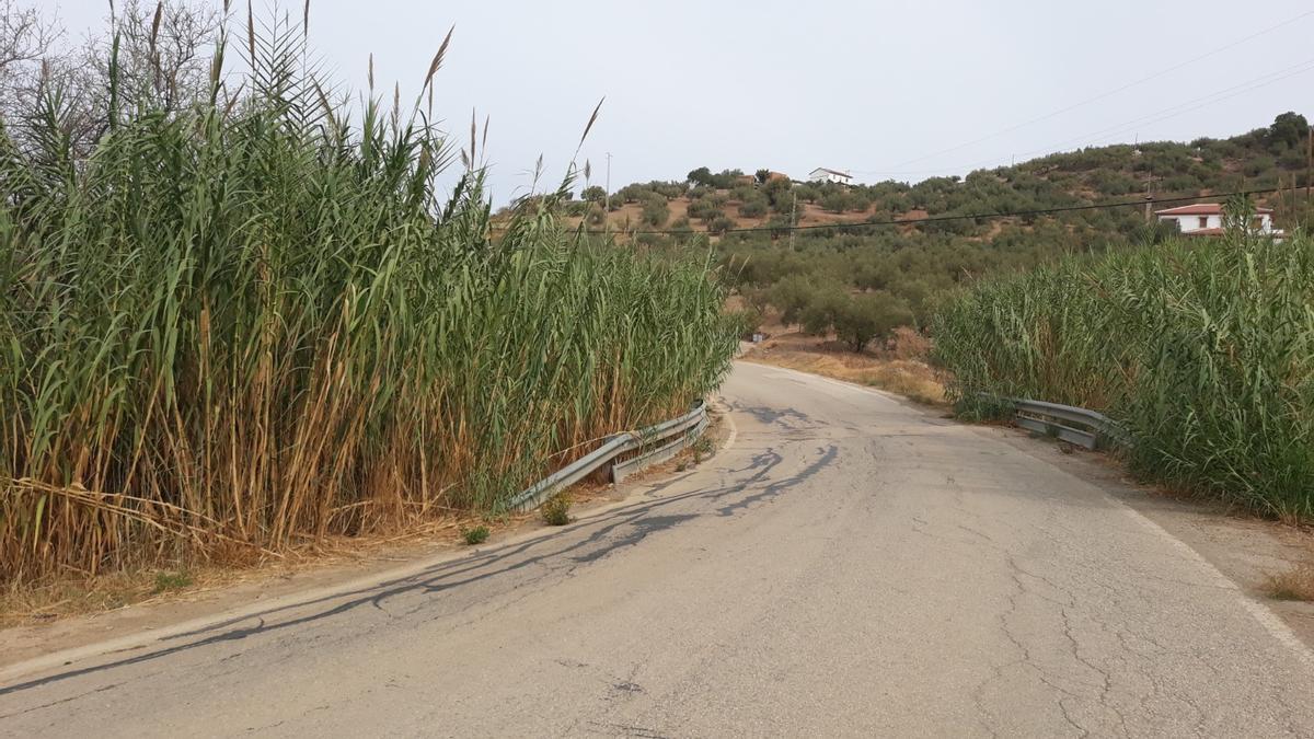 El proyecto del arreglo de la MA-3107 se desarrollará en el tramo más deteriorado de la carretera