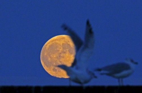 Eclipse de superluna