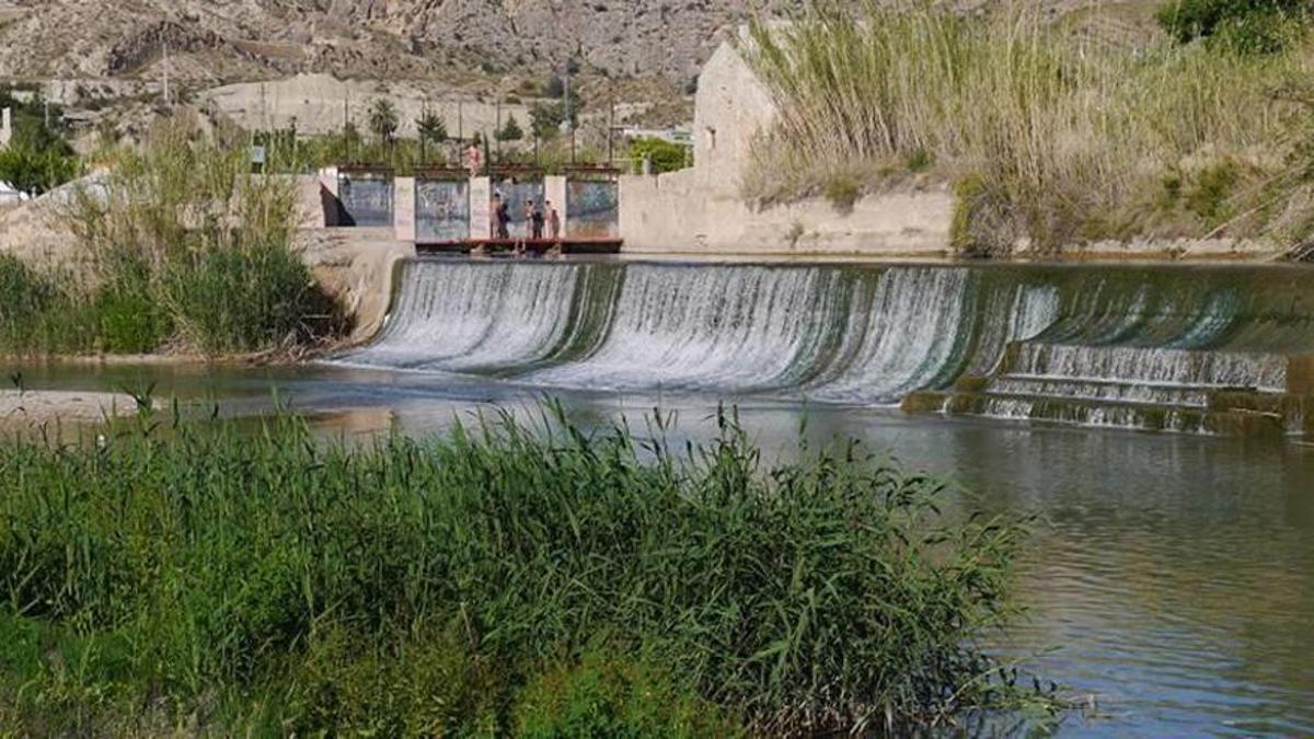 La playa fluvial de El Jarral, en el municipio de Abarán