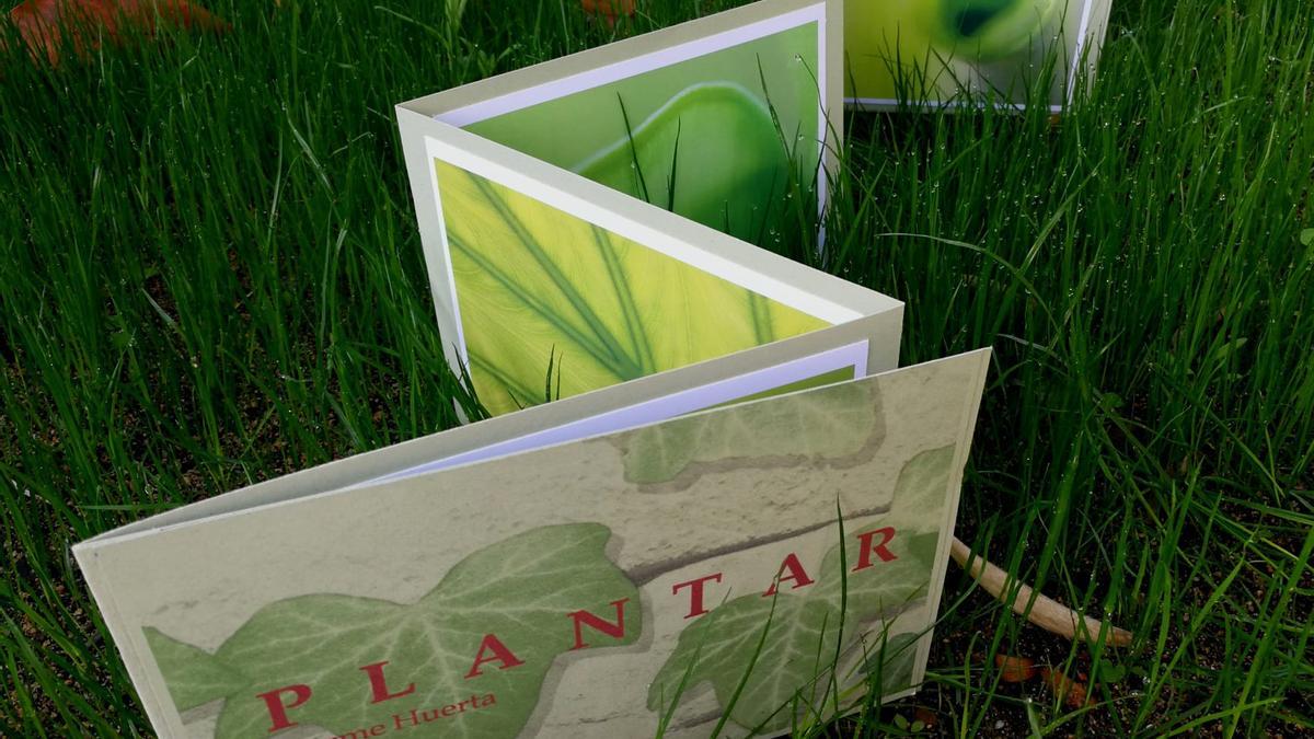 Detall del foto-llibre «Plantar», de Carme Huerta