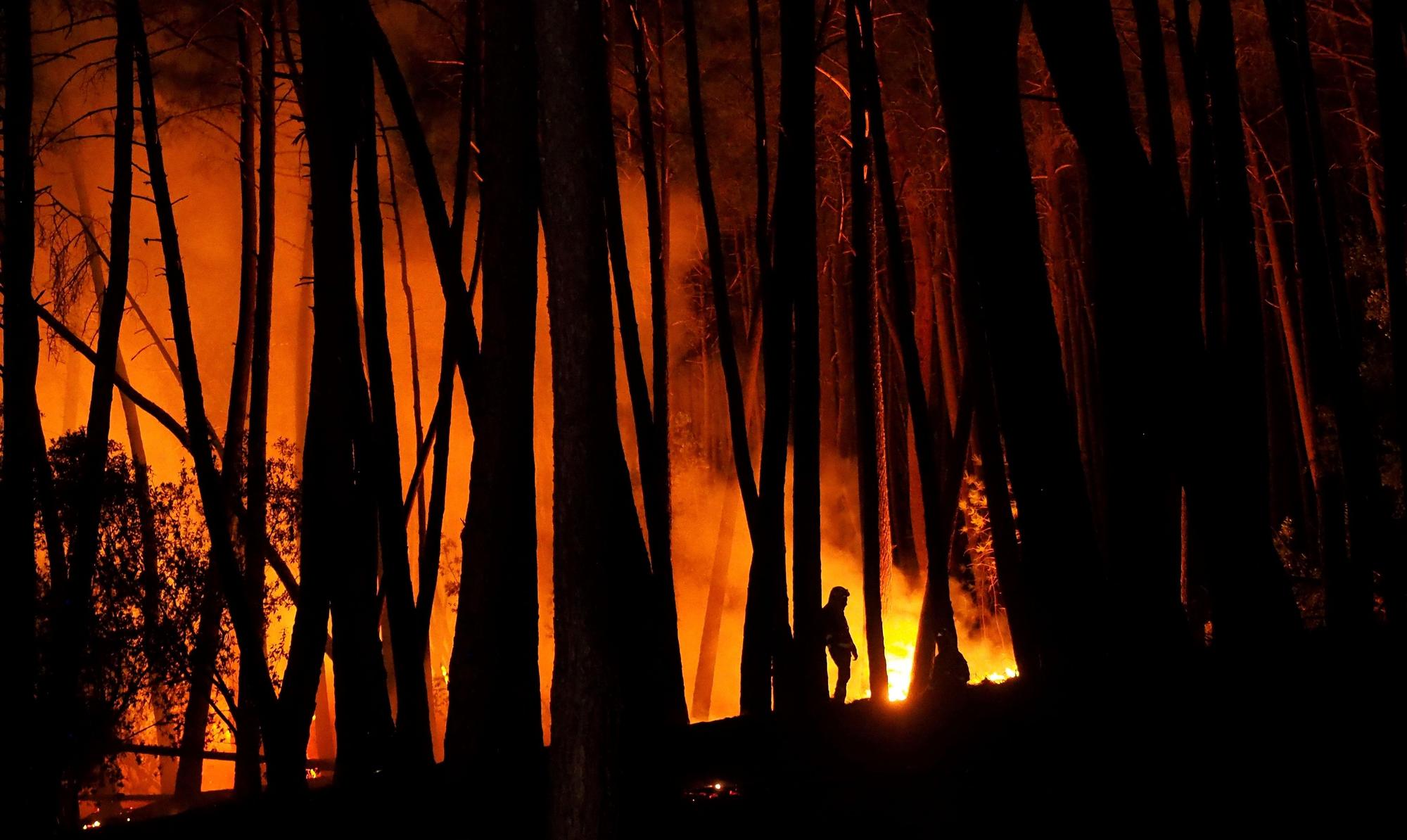 El fuego arrasa más de mil hectáreas en Ribas de Sil