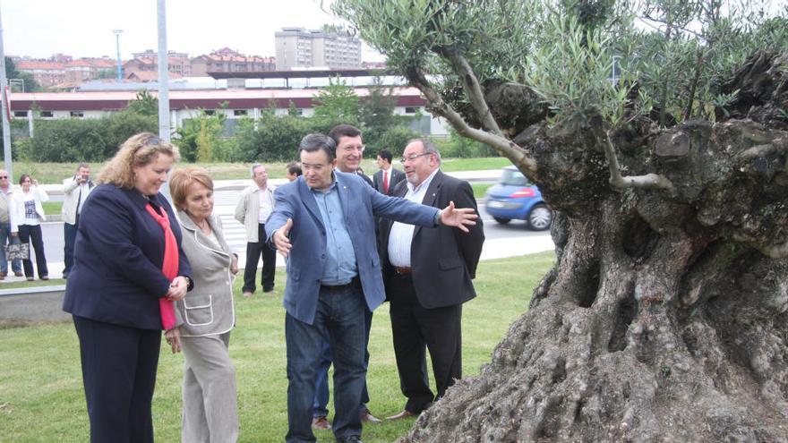 Autoridades municipales y representantes de UGT en la plantación del olivo de la paz.