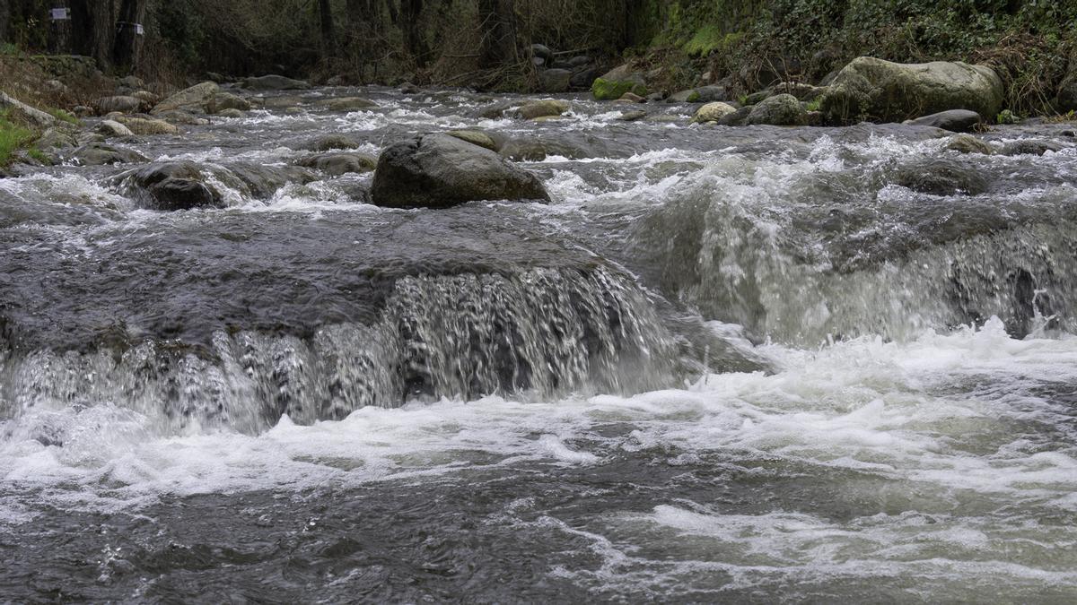 Fotogalería | Crecida del río Ambroz a su paso por Hervás después de las lluvias del martes 13 de enero Fotogalería | Crecida del río Ambroz a su paso por Hervás después de las lluvias del martes 13 de enero