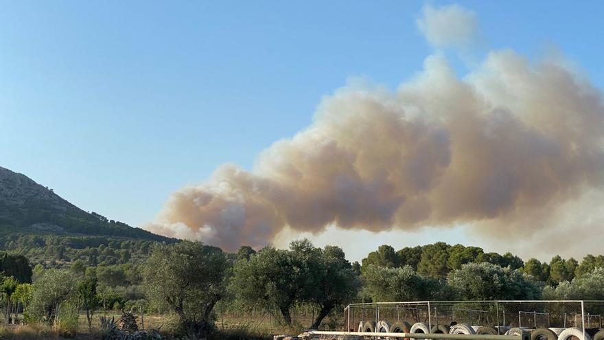 Els Bombers treballen en un incendi al massís del Montgrí