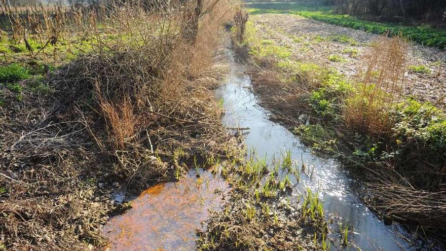 El vertido de escabeche que ayer tiñó las aguas del río Umia entre Ribadumia y Cambados. // Iñaki Abella