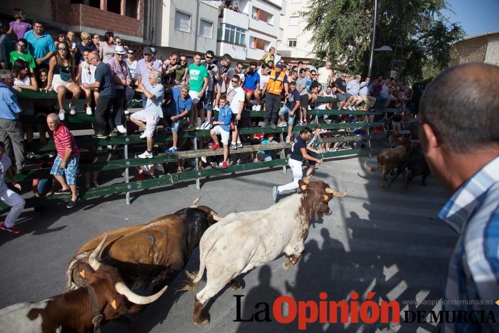 Cuarto encierro de Calasparra