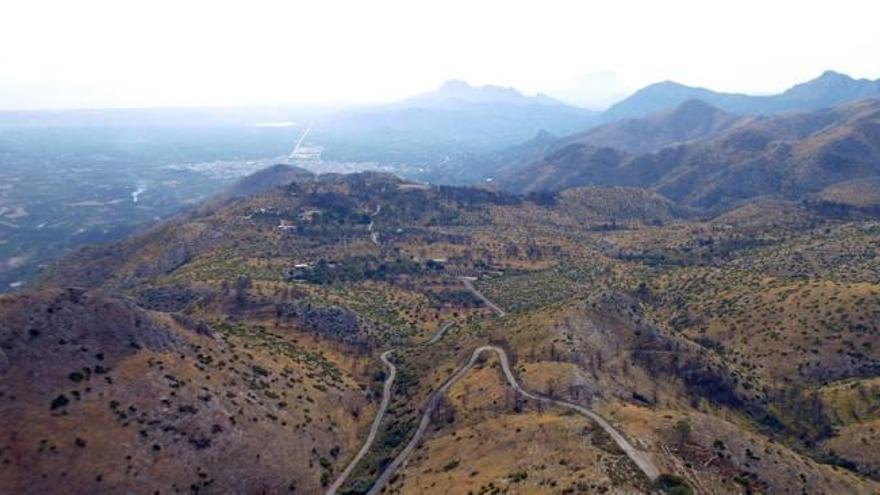 Los montes de la Marina reverdecen tras el fuego que arrasó 1.715 hectáeras.