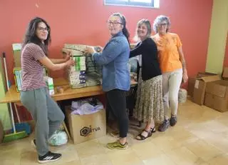 Maullidos en el vacío: solo Silleda cuenta con un plan de gestión de colonias felinas