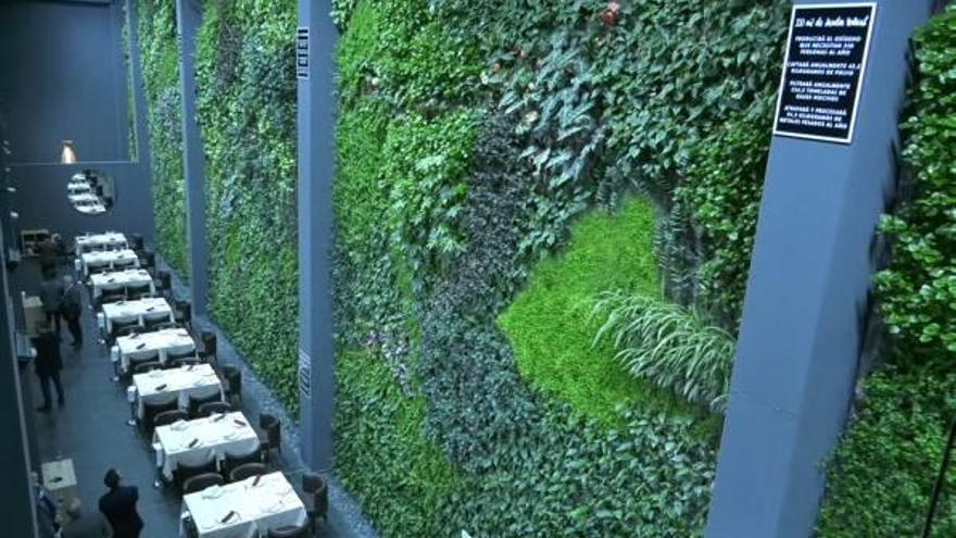 Un alicantino crea el jardín vertical interior más grande de Europa