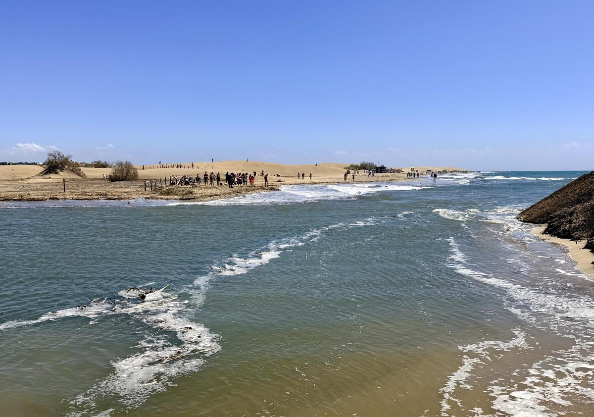 Apertura al mar Charca de Maspalomas