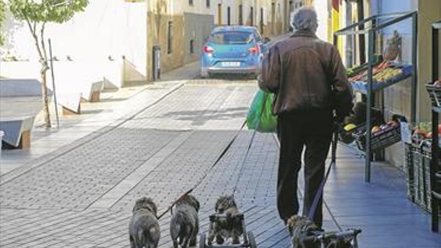 Los vecinos de Cáceres apoyan la restricción del tráfico en días festivos en el eje comercial de Pizarro