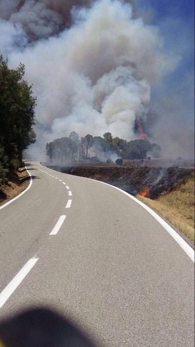 Incendi forestal a Sant Feliu Sasserra