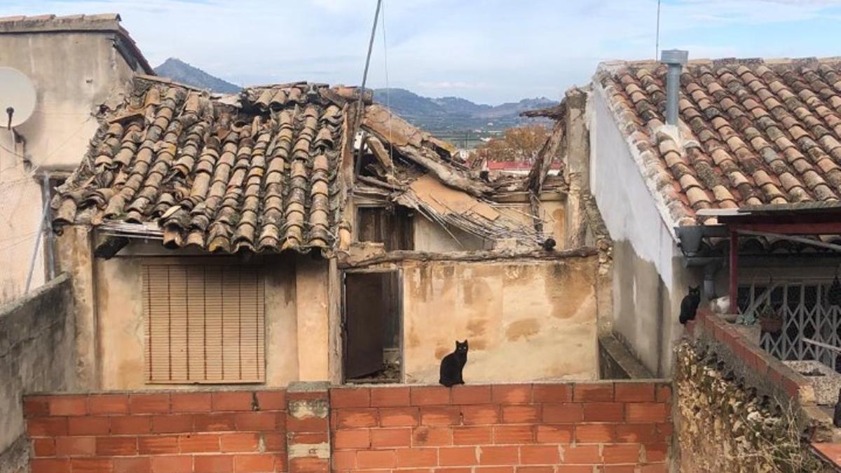 Estado ruinoso de la casa de la calle Carneros, con el tejado hundido y un gato sobre un muro.