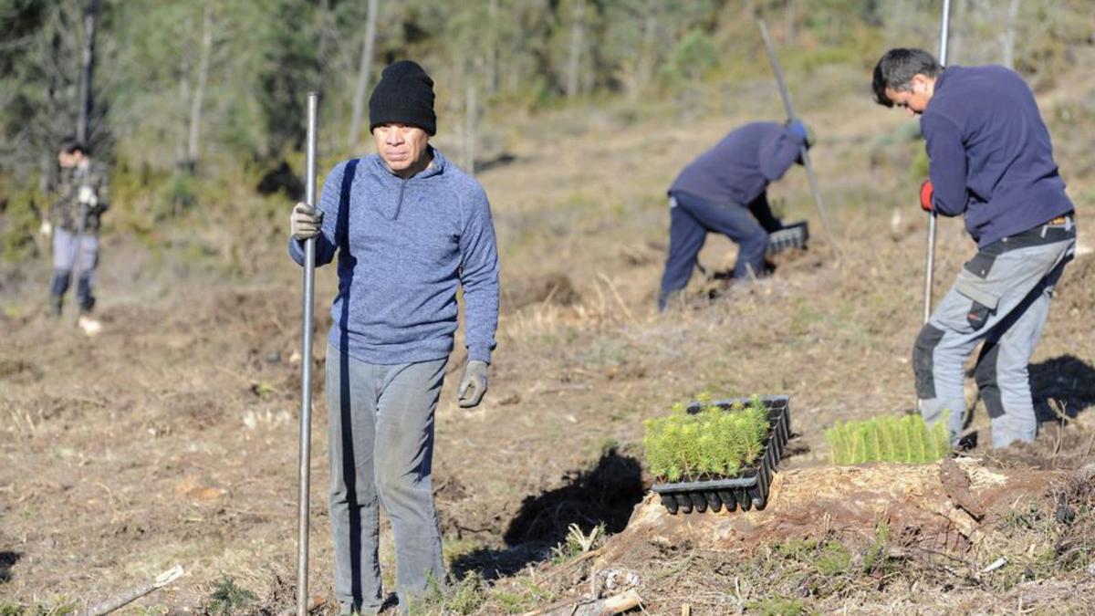 Cubela, personal de CO2 Revolution y trabajadores en la reforestación. // Bernabé/Javier Lalín