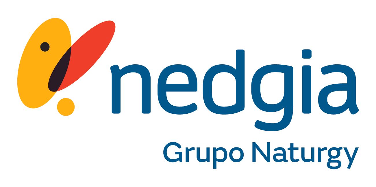 Nedgia