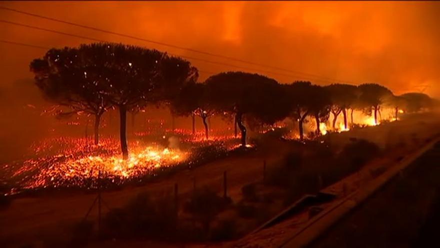 El incendio que amenaza a Doñana