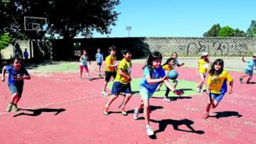 250 alumnos de 5 colegios, en las Olimpiadas Escolares