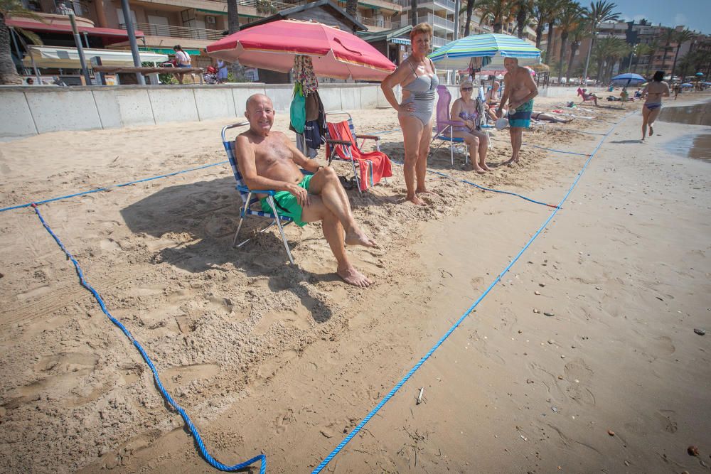 Primer día de baño autorizado en las playas de Torrevieja con arena parcelada y controles de acceso