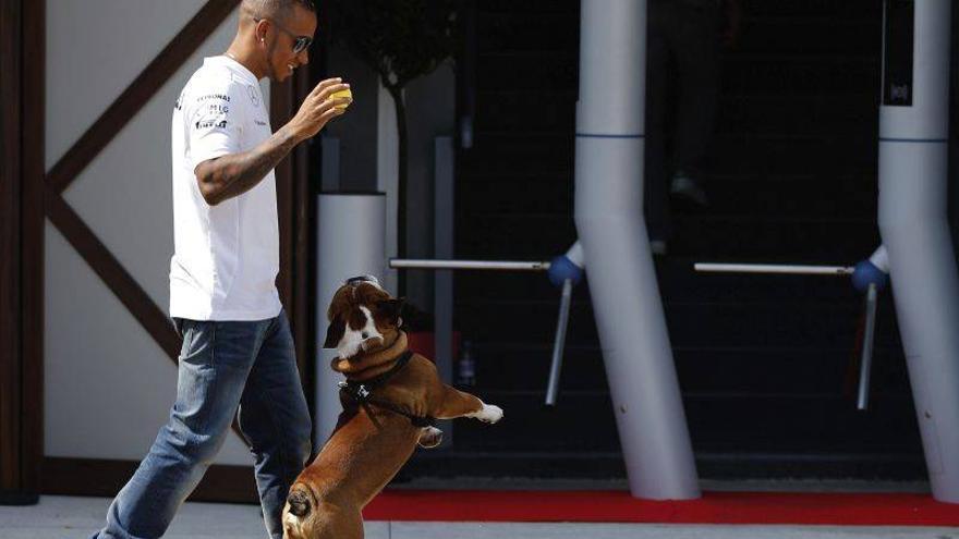 Hamilton por delante de Alonso en el primer libre en Monza