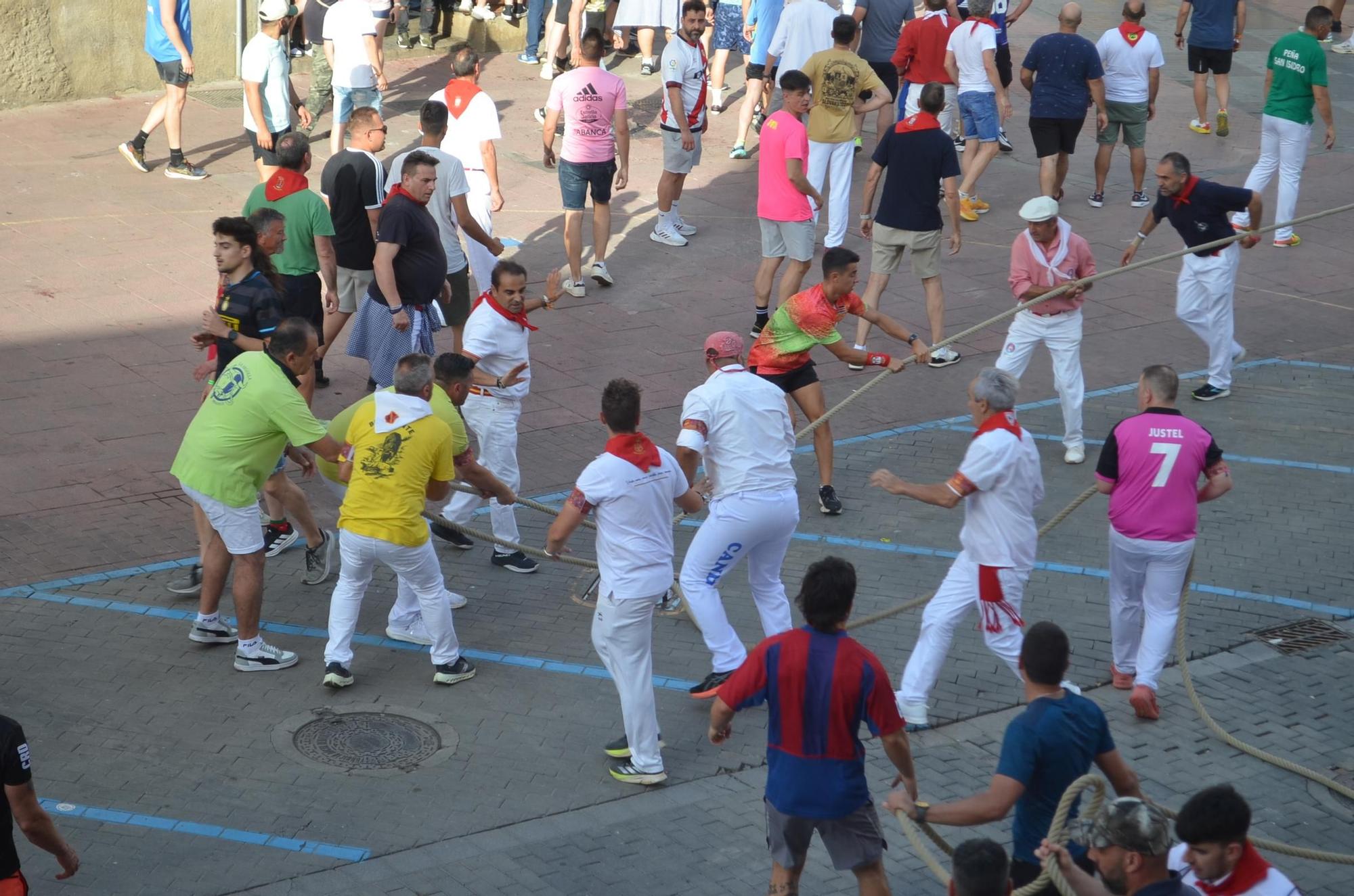 Así ha sido la carrera del torito Espléndido en Benavente