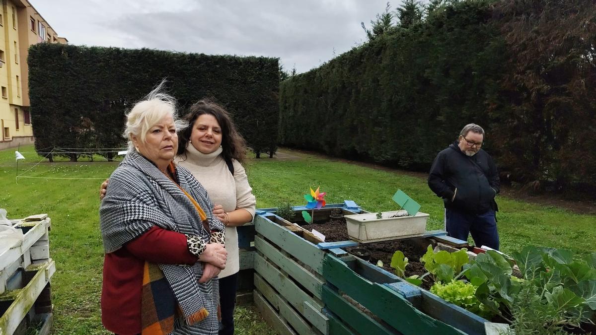 El nuevo huerto urbano de la zona oeste de Gijón, en imágenes