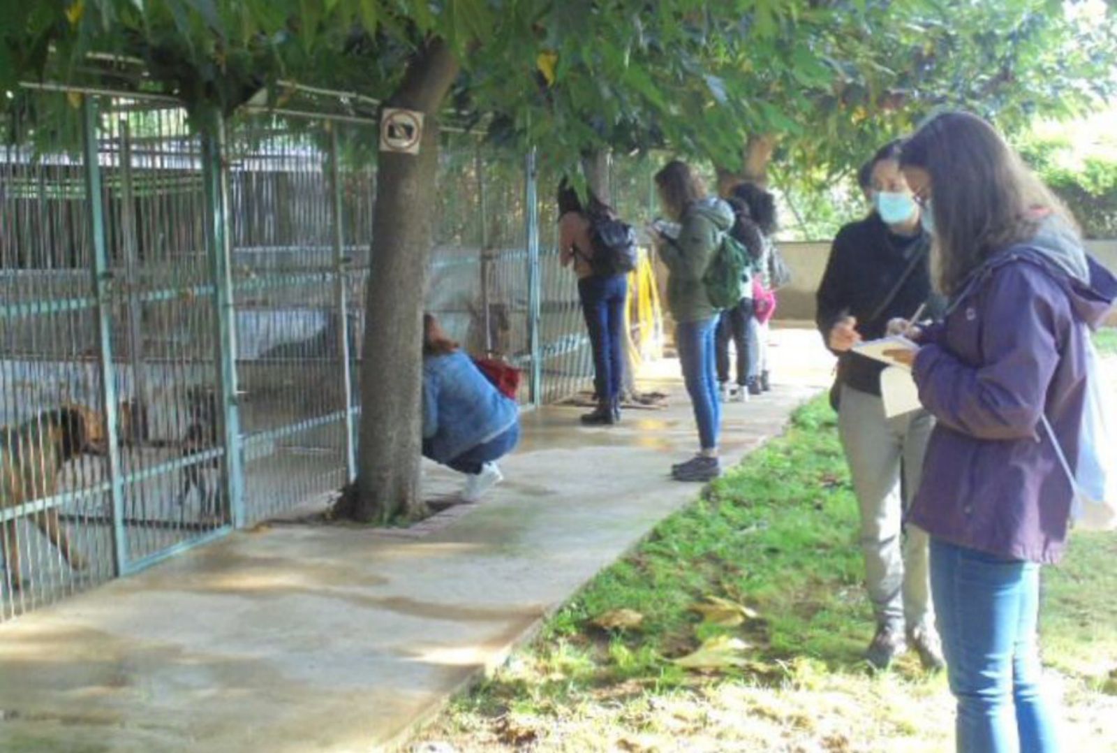 Els estudiants han fet pràctiques a la protectora