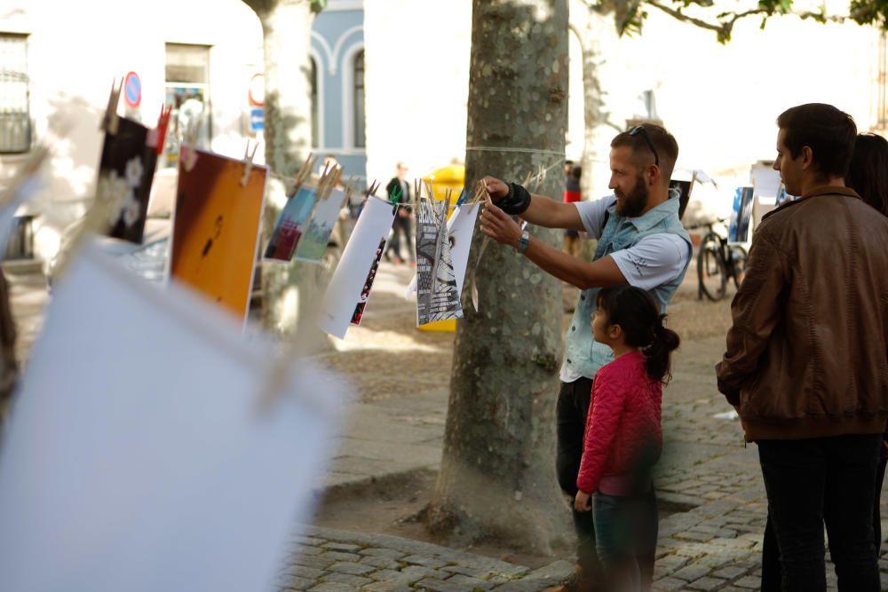 Fotosecado Zamora 2017