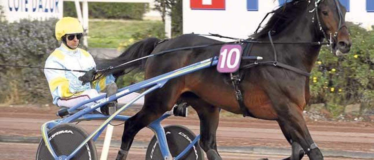 Trébol, con Biel Pou, en el hipòdromo de Cagnes Sur Mer, donde el 13 de marzo instaló el récord nacional en una media de 1:10´9.